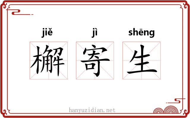 檞寄生 檞寄生