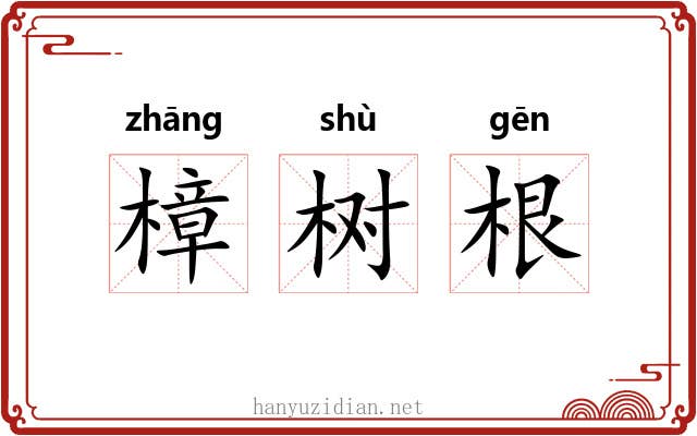 樟树根 樟树根
