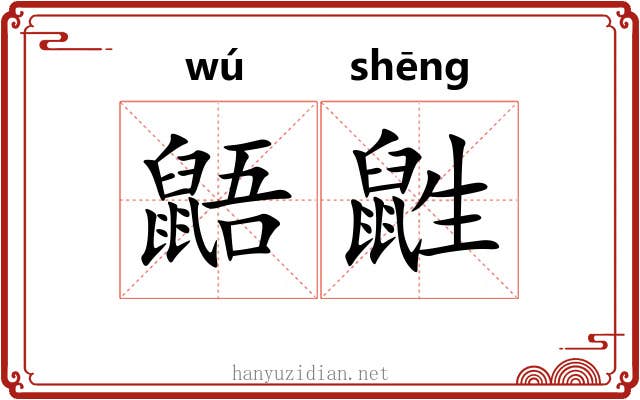 鼯鼪