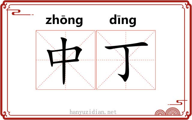 中丁