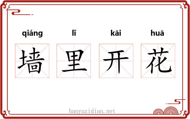 墙里开花 墙里开花