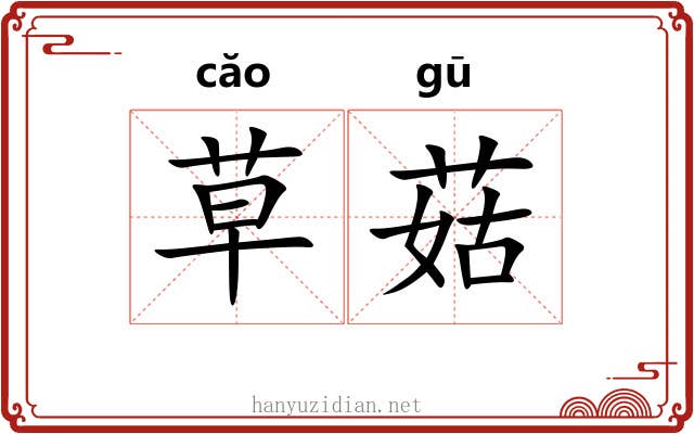 草菇 草菇