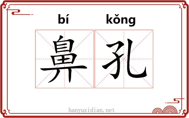 鼻孔