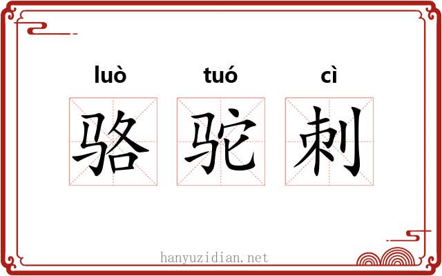 骆驼刺 骆驼刺