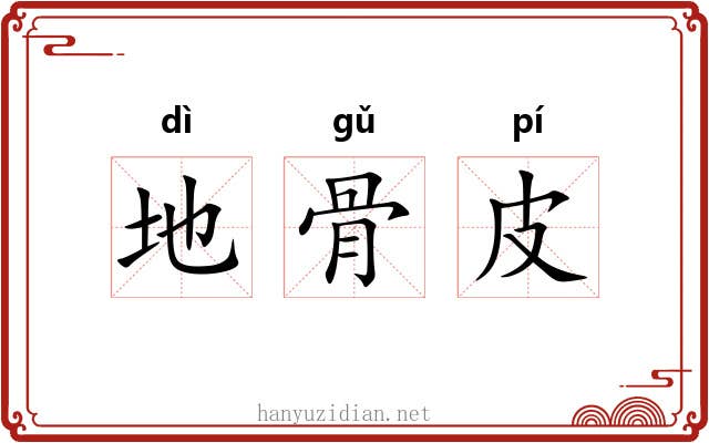 地骨皮 地骨皮