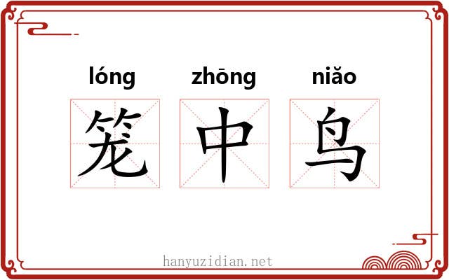 笼中鸟 笼中鸟