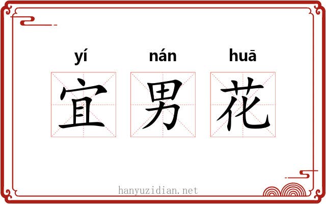宜男花 宜男花