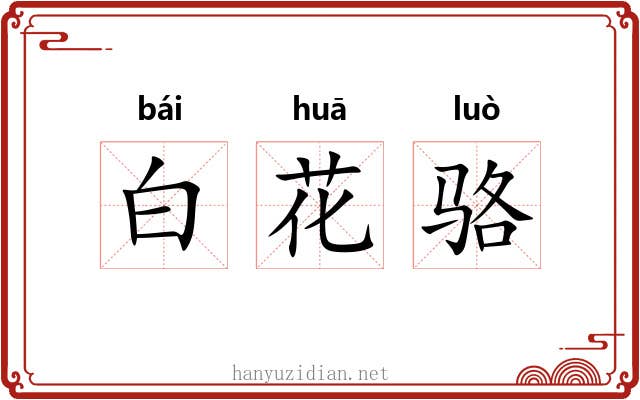 白花骆