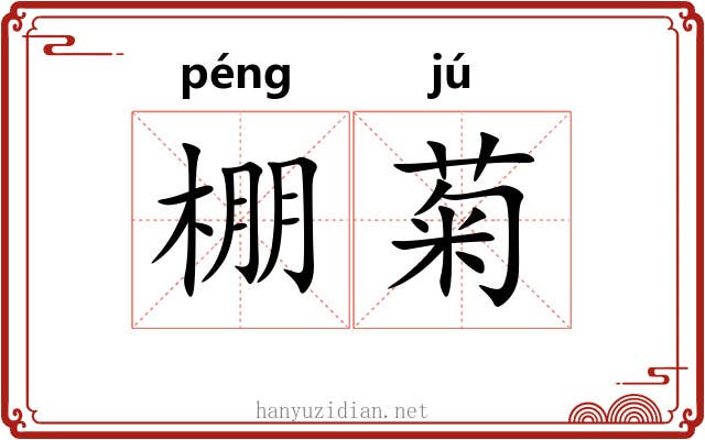 棚菊