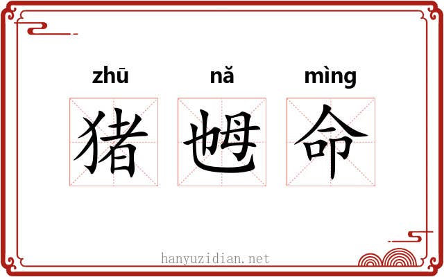 猪乸命