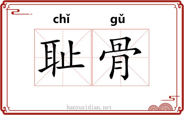 耻骨 耻骨