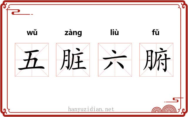 五脏六腑
