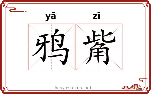 鸦觜