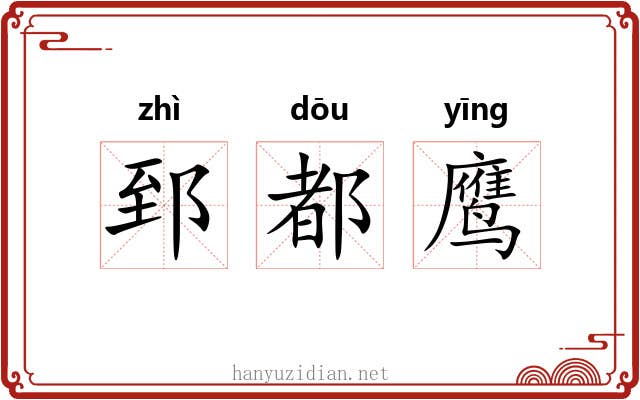 郅都鹰 郅都鹰