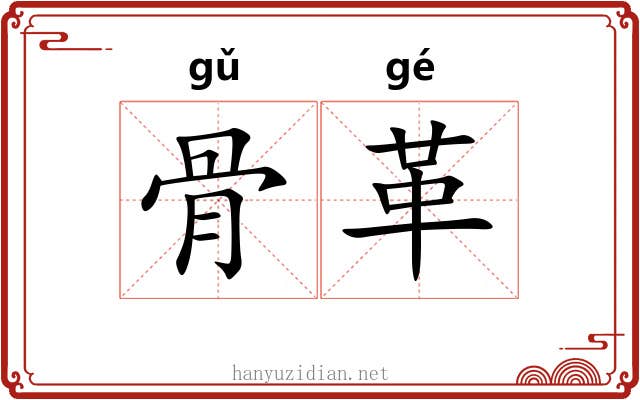 骨革 骨革