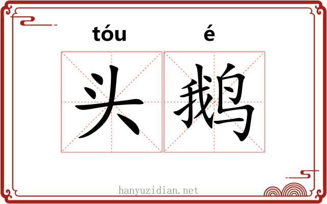 头鹅 头鹅