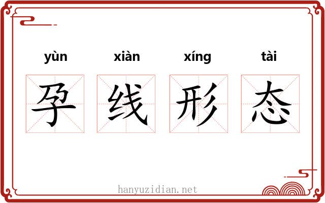 孕线形态