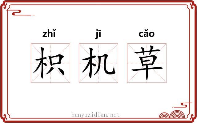 枳机草 枳机草