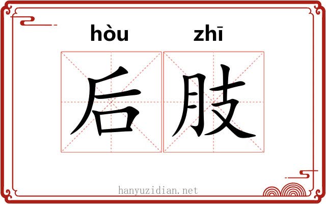 后肢