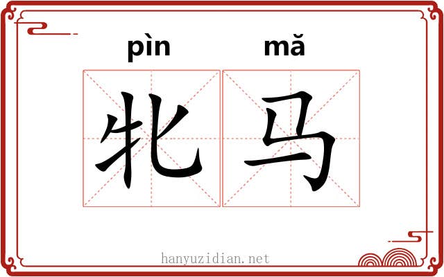 牝马