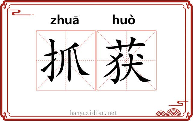 抓获
