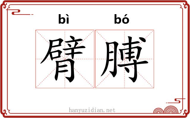 臂膊