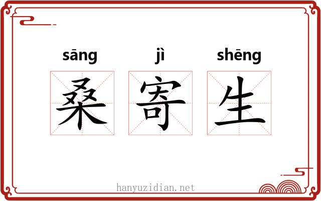 桑寄生