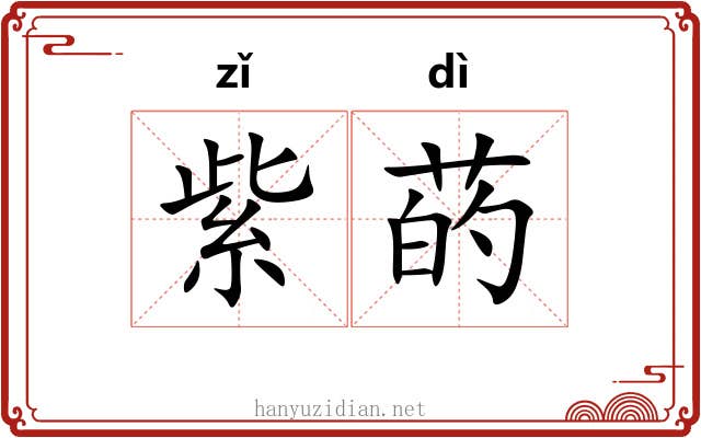 紫菂