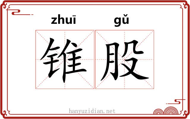 锥股 锥股