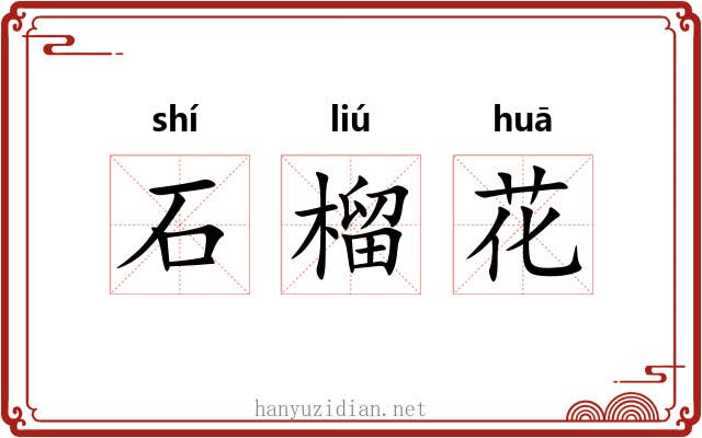 石榴花 石榴花