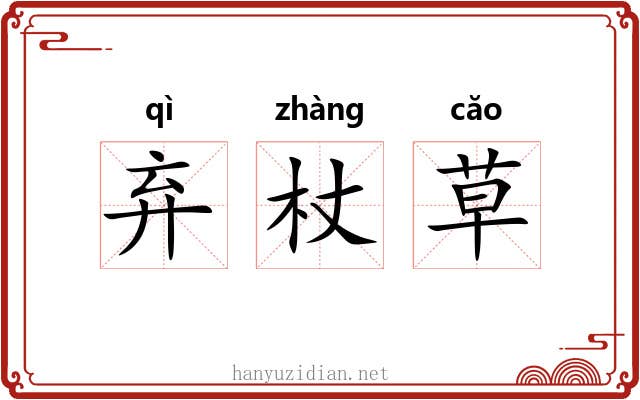 弃杖草 弃杖草