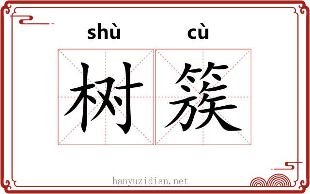 树簇