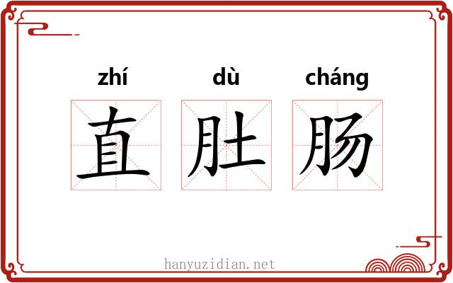 直肚肠 直肚肠