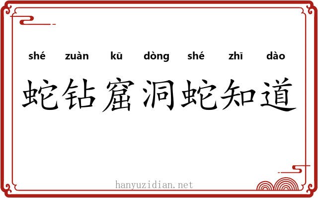 蛇钻窟洞蛇知道 蛇钻窟洞蛇知道