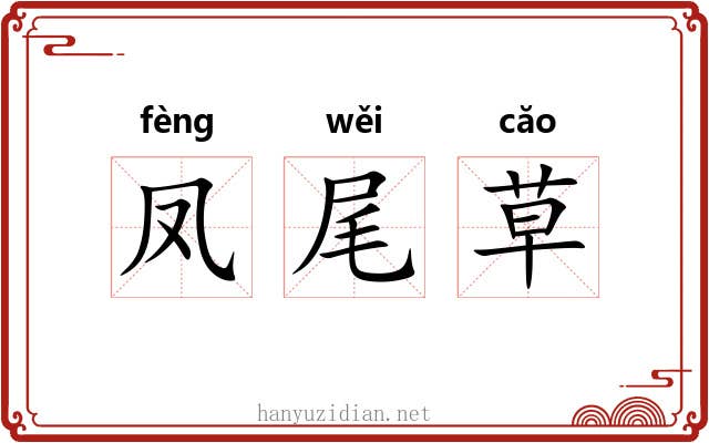 凤尾草 凤尾草