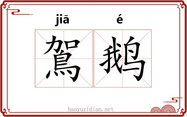 鴐鹅