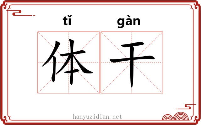 体干