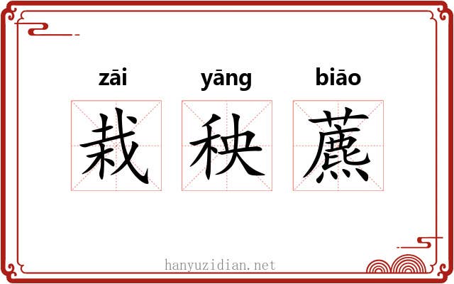 栽秧藨