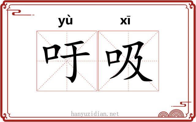 吁吸
