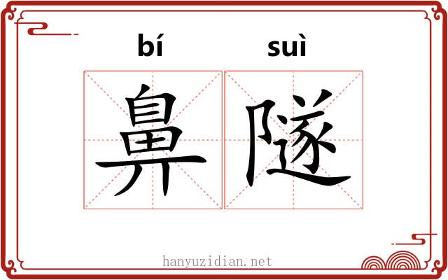 鼻隧