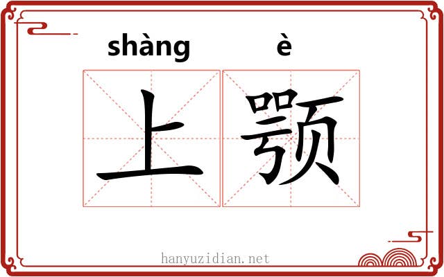 上颚 上颚