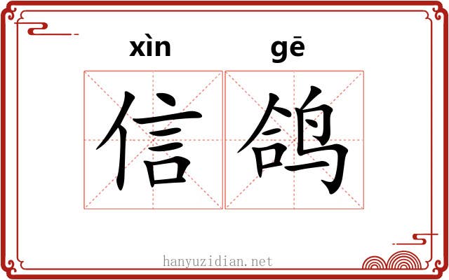 信鸽 信鸽