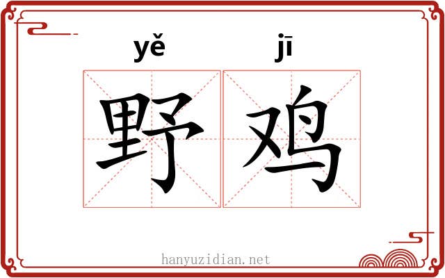 野鸡