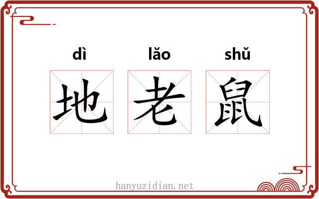地老鼠 地老鼠