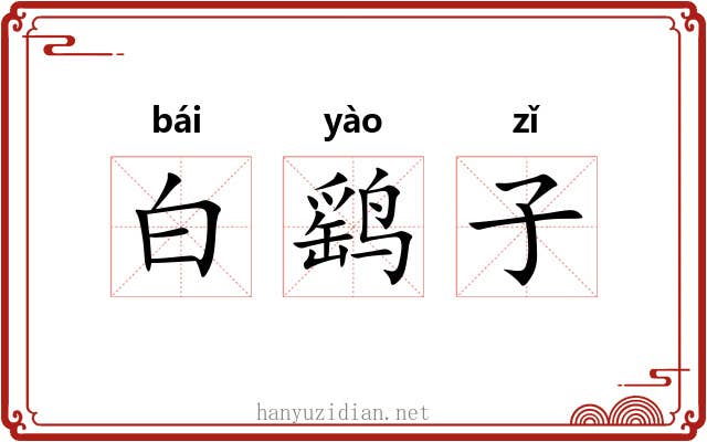 白鹞子 白鹞子