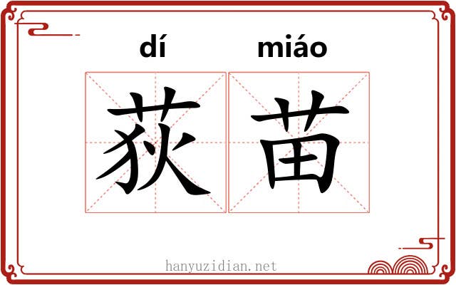 荻苗