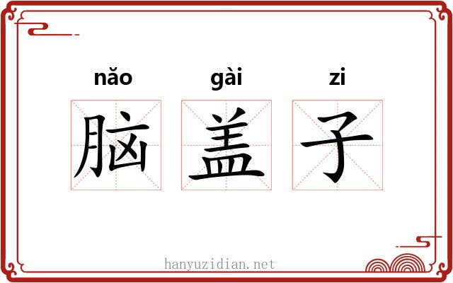 脑盖子