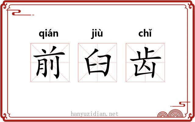 前臼齿 前臼齿
