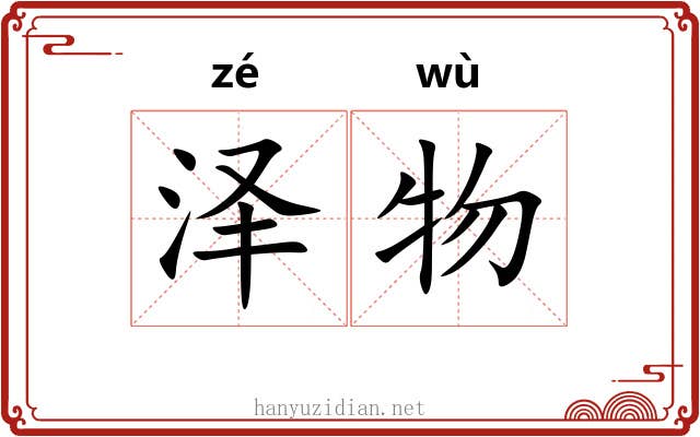 泽物
