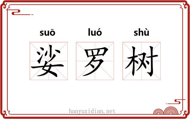 娑罗树 娑罗树